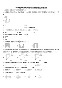 2023届滨州市博兴县数学六下期末复习检测试题含解析