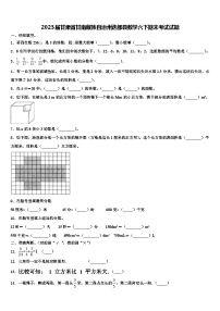 2023届甘肃省甘南藏族自治州迭部县数学六下期末考试试题含解析