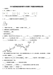 2023届甘肃省武威市数学六年级第二学期期末调研模拟试题含解析