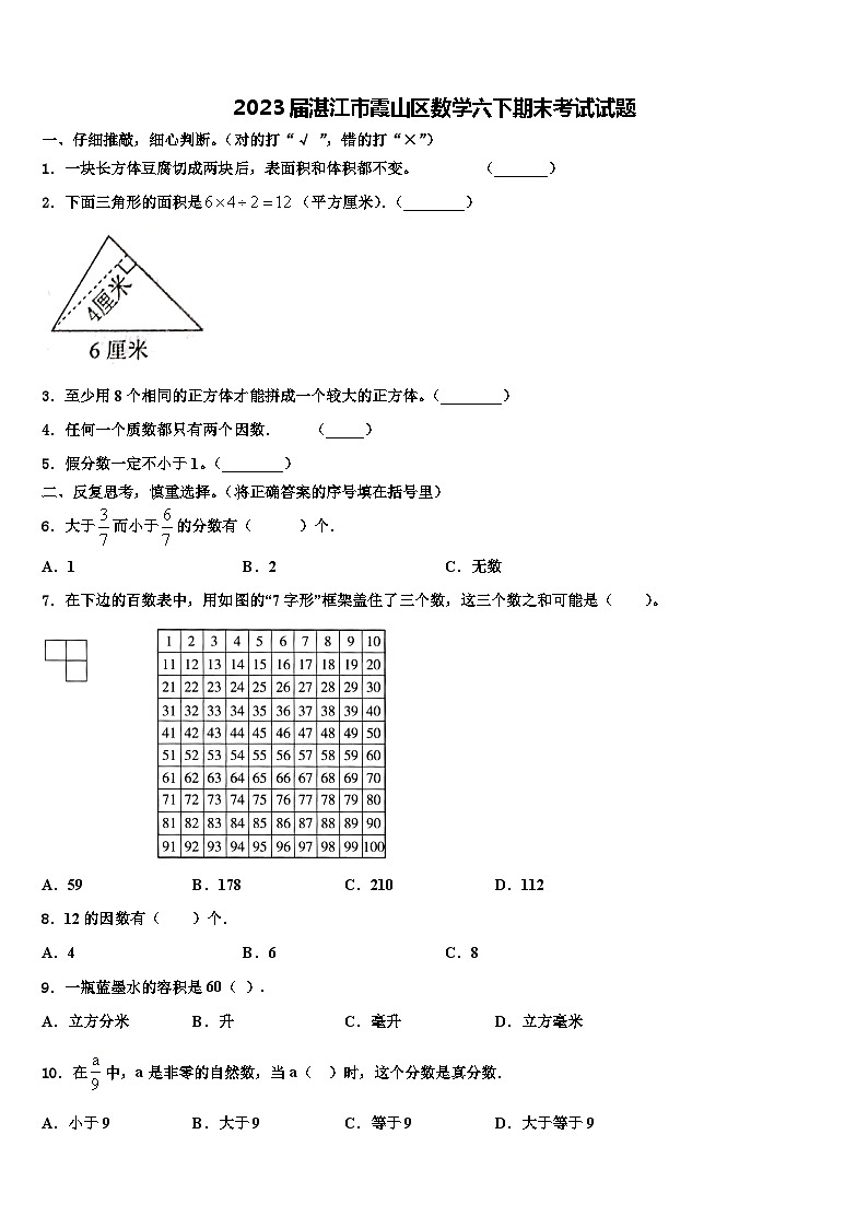 2023届湛江市霞山区数学六下期末考试试题含解析第1页