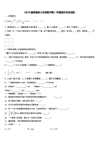 2023届漳浦县六年级数学第二学期期末检测试题含解析