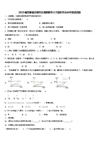 2023届甘肃省庆阳市庆城县数学六下期末学业水平测试试题含解析