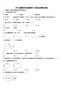 2023届聊城市东阿县数学六下期末监测模拟试题含解析