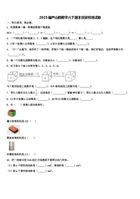 2023届芦山县数学六下期末质量检测试题含解析