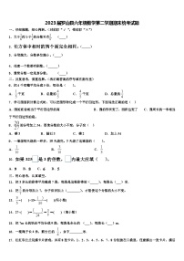 2023届罗山县六年级数学第二学期期末统考试题含解析