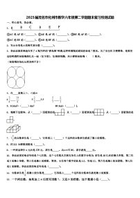 2023届茂名市化州市数学六年级第二学期期末复习检测试题含解析