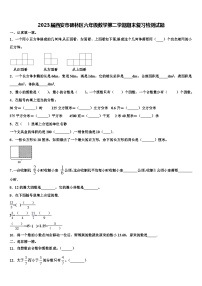 2023届西安市碑林区六年级数学第二学期期末复习检测试题含解析