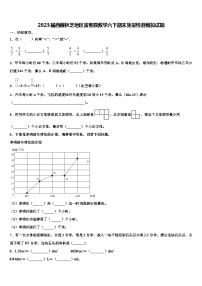 2023届西藏林芝地区波密县数学六下期末质量检测模拟试题含解析