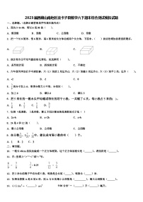 2023届西藏山南地区浪卡子县数学六下期末综合测试模拟试题含解析