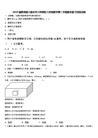 2023届贵州省六盘水市六枝特区六年级数学第二学期期末复习检测试题含解析