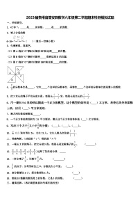 2023届贵州省普安县数学六年级第二学期期末检测模拟试题含解析