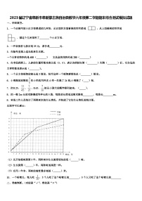 2023届辽宁省阜新市阜新蒙古族自治县数学六年级第二学期期末综合测试模拟试题含解析