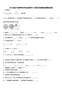 2023届辽宁省葫芦岛市连山区数学六下期末质量跟踪监视模拟试题含解析