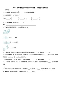 2023届郴州市资兴市数学六年级第二学期期末统考试题含解析