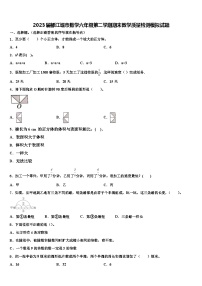 2023届都江堰市数学六年级第二学期期末教学质量检测模拟试题含解析