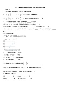 2023届邯郸市曲周县数学六下期末综合测试试题含解析