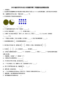 2023届长沙市天心区六年级数学第二学期期末监测模拟试题含解析