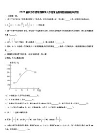 2023届长沙市望城县数学六下期末质量跟踪监视模拟试题含解析