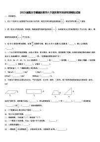 2023届重庆市潼南区数学六下期末教学质量检测模拟试题含解析