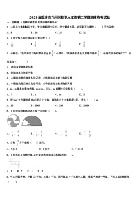 2023届重庆市万州区数学六年级第二学期期末统考试题含解析