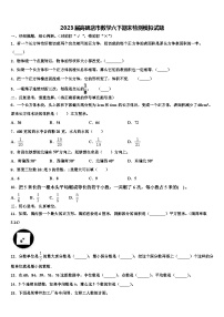 2023届高碑店市数学六下期末检测模拟试题含解析