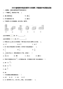 2023届鸡西市鸡冠区数学六年级第二学期期末考试模拟试题含解析