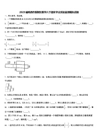 2023届鸡西市梨树区数学六下期末学业质量监测模拟试题含解析