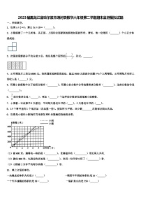 2023届黑龙江省哈尔滨市通河县数学六年级第二学期期末监测模拟试题含解析