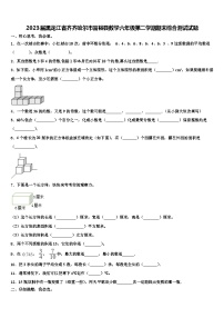 2023届黑龙江省齐齐哈尔市富裕县数学六年级第二学期期末综合测试试题含解析