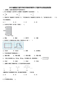 2023届黑龙江省齐齐哈尔市讷河市数学六下期末学业质量监测试题含解析