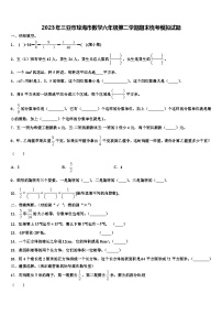 2023年三亚市琼海市数学六年级第二学期期末统考模拟试题含解析