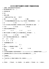 2023年三明市宁化县数学六年级第二学期期末统考试题含解析