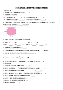 2023届黔西县六年级数学第二学期期末调研试题含解析