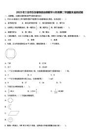 2023年三亚市乐东黎族自治县数学六年级第二学期期末监测试题含解析