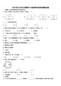 2023年九江市九江县数学六下期末教学质量检测模拟试题含解析