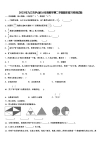 2023年九江市庐山区六年级数学第二学期期末复习检测试题含解析