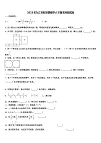 2023年九江市彭泽县数学六下期末预测试题含解析