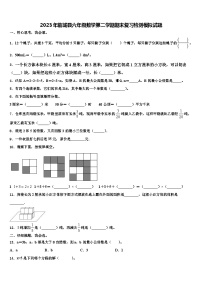 2023年临城县六年级数学第二学期期末复习检测模拟试题含解析