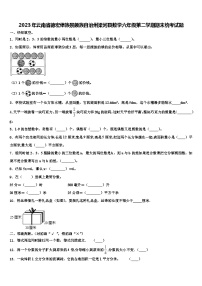 2023年云南省德宏傣族景颇族自治州梁河县数学六年级第二学期期末统考试题含解析