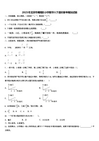 2023年北京市朝阳区小学数学六下期末联考模拟试题含解析