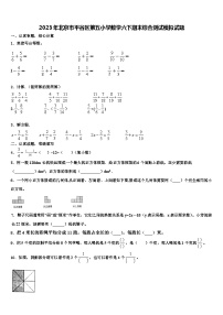 2023年北京市平谷区第五小学数学六下期末综合测试模拟试题含解析