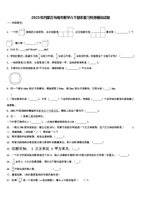 2023年内蒙古乌海市数学六下期末复习检测模拟试题含解析