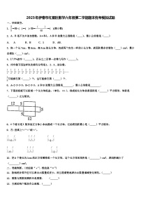 2023年伊春市红星区数学六年级第二学期期末统考模拟试题含解析