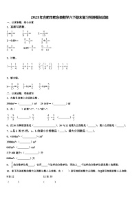 2023年合肥市肥东县数学六下期末复习检测模拟试题含解析