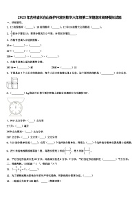 2023年吉林省长白山保护开发区数学六年级第二学期期末调研模拟试题含解析