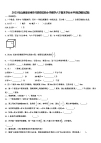 2023年山西省忻州市代县县实验小学数学六下期末学业水平测试模拟试题含解析