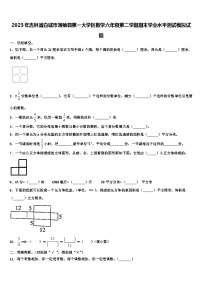 2023年吉林省白城市通榆县第一大学区数学六年级第二学期期末学业水平测试模拟试题含解析