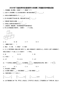 2023年广东省东莞市东城区数学六年级第二学期期末统考模拟试题含解析