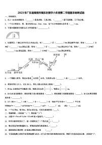 2023年广东省揭阳市揭东区数学六年级第二学期期末调研试题含解析