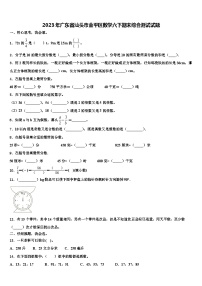 2023年广东省汕头市金平区数学六下期末综合测试试题含解析